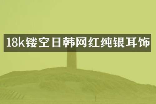 18k镂空日韩网红纯银耳饰