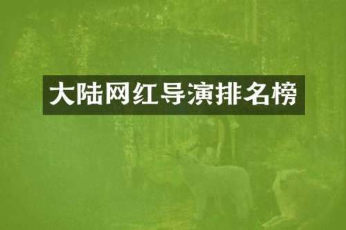 大陆网红导演排名榜