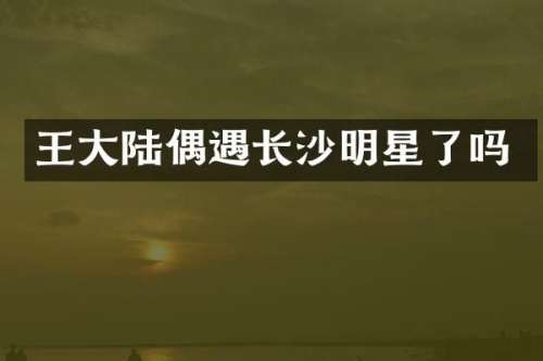王大陆偶遇长沙明星了吗