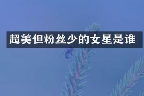 超美但粉丝少的女星是谁