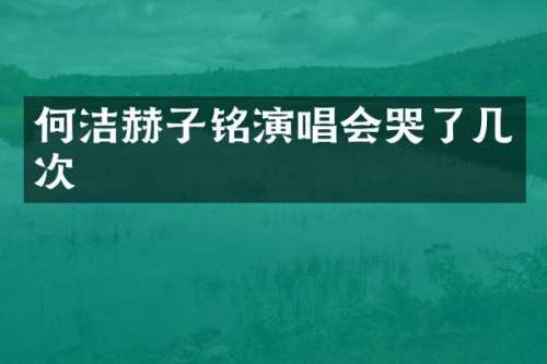 何洁赫子铭演唱会哭了几次