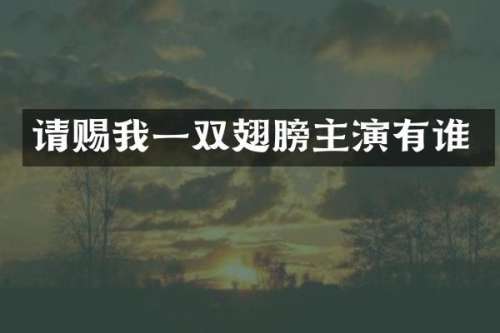 请赐我一双翅膀主演有谁