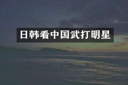 日韩看中国武打明星