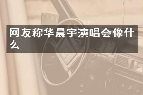 网友称华晨宇演唱会像什么