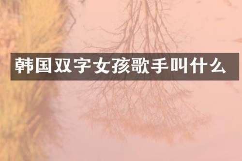 韩国双字女孩歌手叫什么