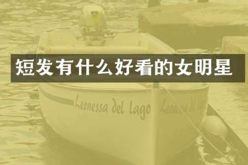 短发有什么好看的女明星