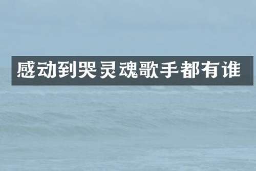 感动到哭灵魂歌手都有谁