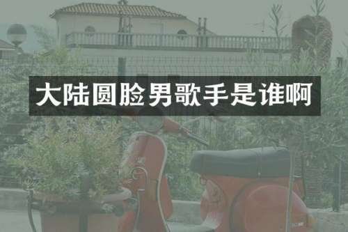 大陆圆脸男歌手是谁啊