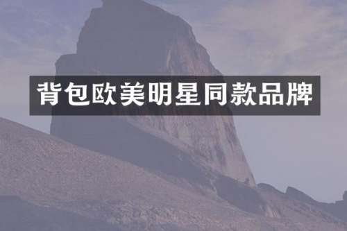 背包欧美明星同款品牌