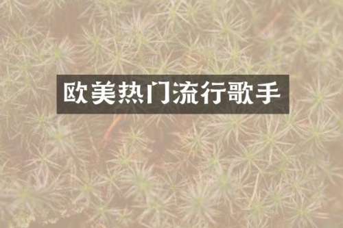 欧美热门流行歌手