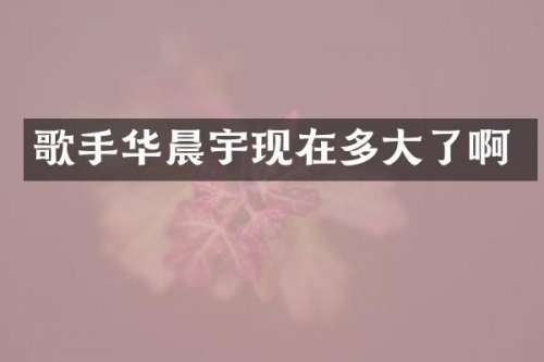 歌手华晨宇现在多大了啊