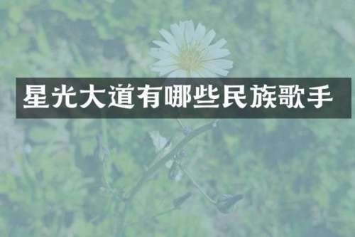 星光大道有哪些歌手