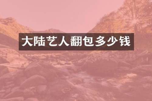 大陆艺人翻包多少钱