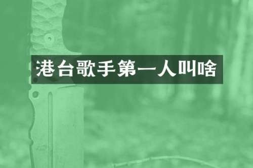 港台歌手第一人叫啥