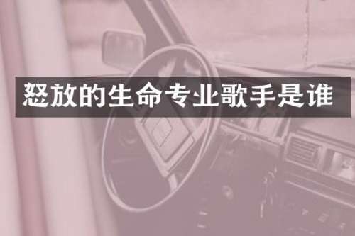 怒放的生命专业歌手是谁