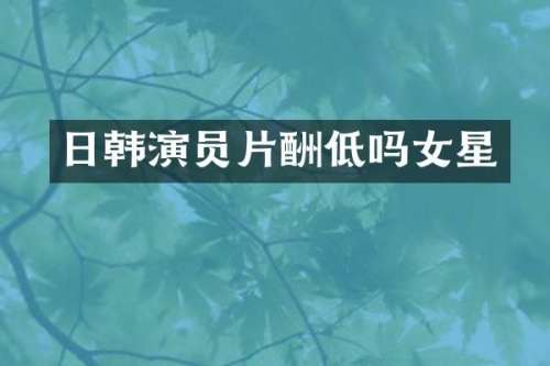 日韩演员片酬低吗女星
