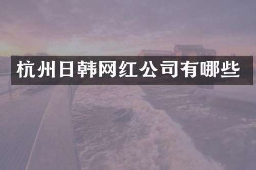 杭州日韩网红公司有哪些
