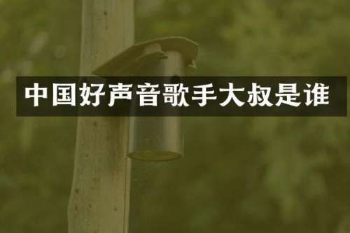 中国好声音歌手大叔是谁