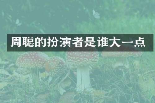 周聪的扮演者是谁大一点