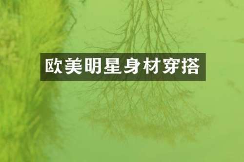 欧美明星身材穿搭