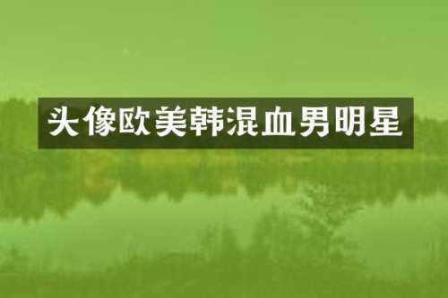 头像欧美韩混血男明星