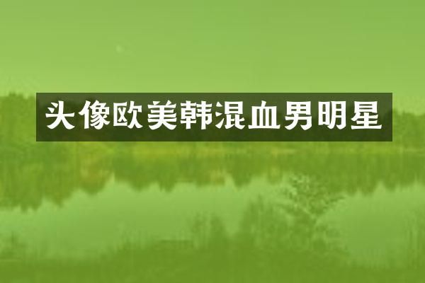 头像欧美韩混血男明星