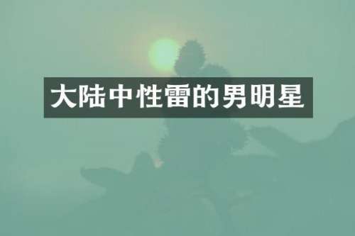 大陆中性雷的男明星
