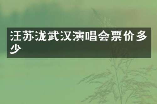 汪苏泷武汉演唱会票价多少