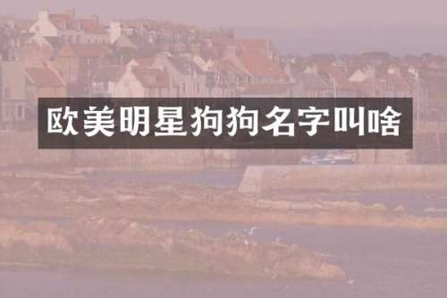 欧美明星狗狗名字叫啥