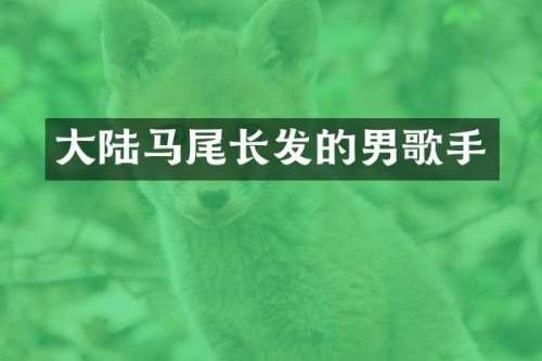 大陆马尾长发的男歌手