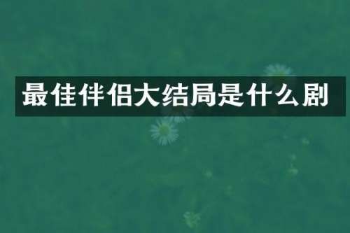 最佳伴侣大结局是什么剧