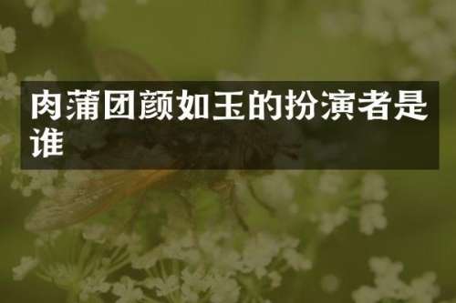 颜如玉的扮演者是谁