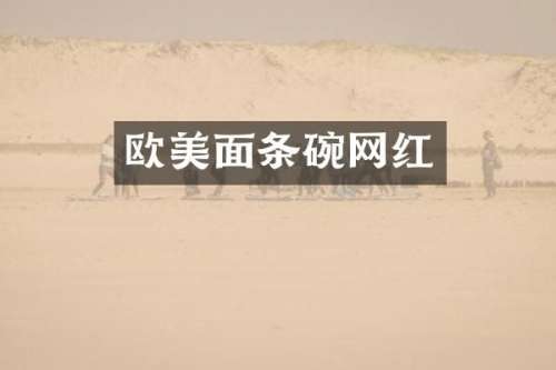 欧美面条碗网红