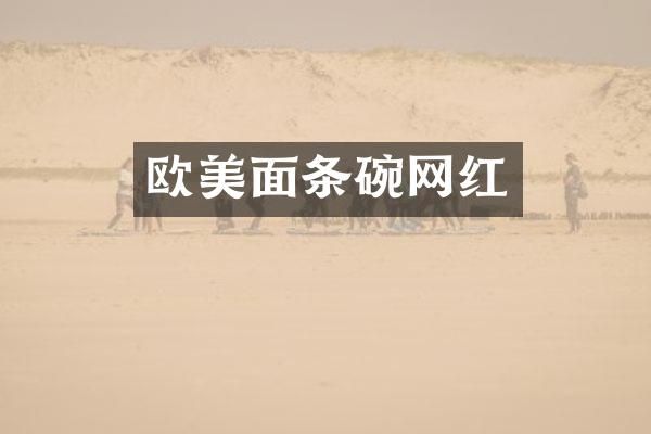 欧美面条碗网红