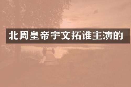 北周皇帝宇文拓谁主演的