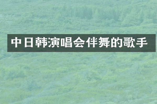 中日韩演唱会伴舞的歌手