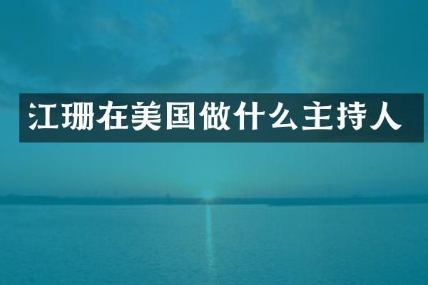江珊在美国做什么主持人