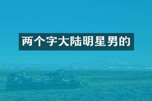 两个字大陆明星男的