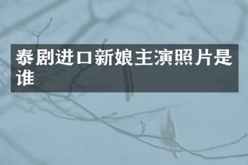 泰剧进口新娘主演照片是谁