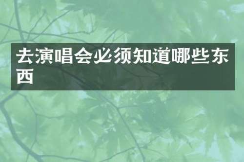 去演唱会必须知道哪些东西