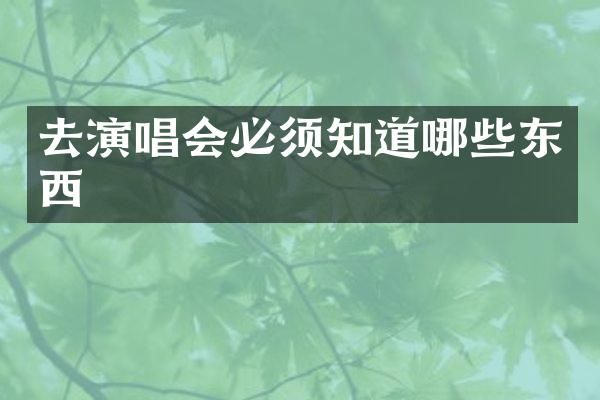 去演唱会必须知道哪些东西