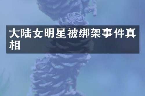 大陆女明星架事件真相