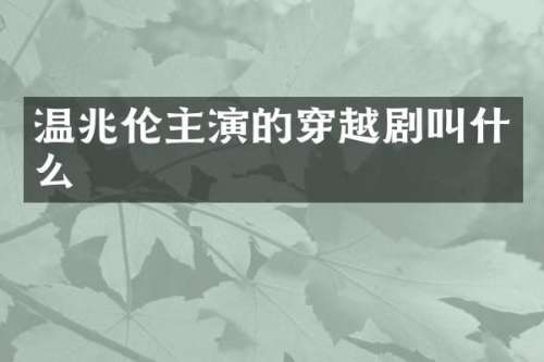 温兆伦主演的穿越剧叫什么
