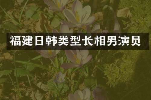 福建日韩类型长相男演员