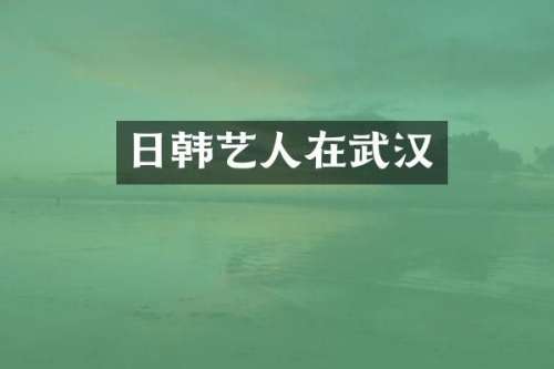日韩艺人在武汉