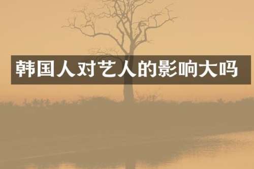 韩国人对艺人的影响大吗