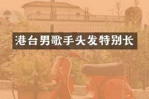 港台男歌手头发特别长