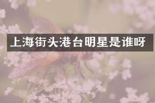 上海街头港台明星是谁呀