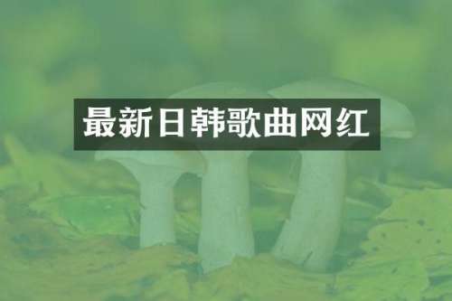最新日韩歌曲网红