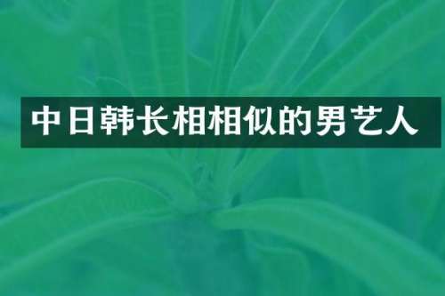 中日韩长相相似的男艺人